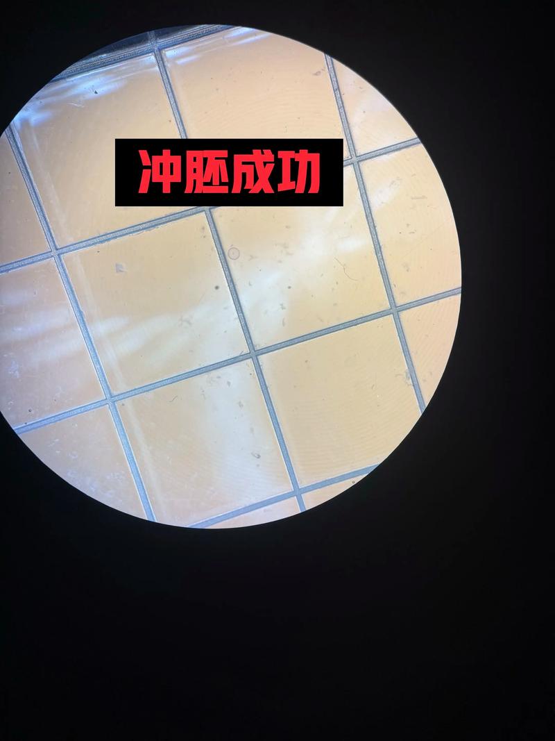 汗血宝马:传奇的跨越